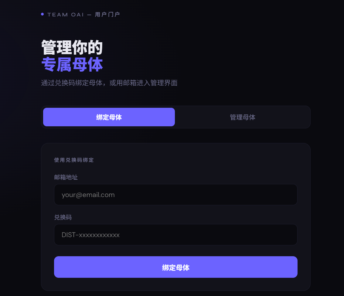 TEAM 母体管理（非官网账密）无质保